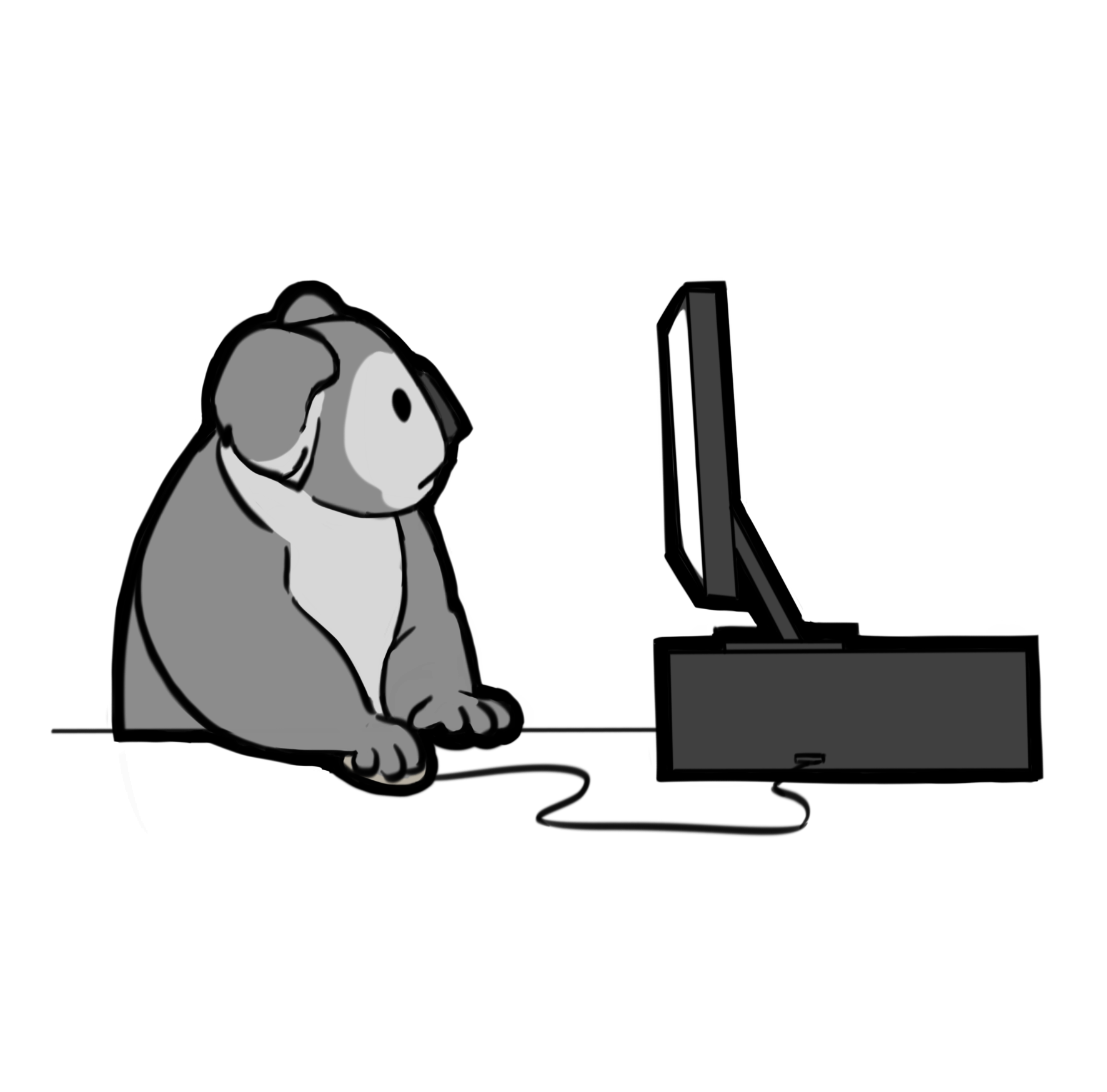 Koala Computer